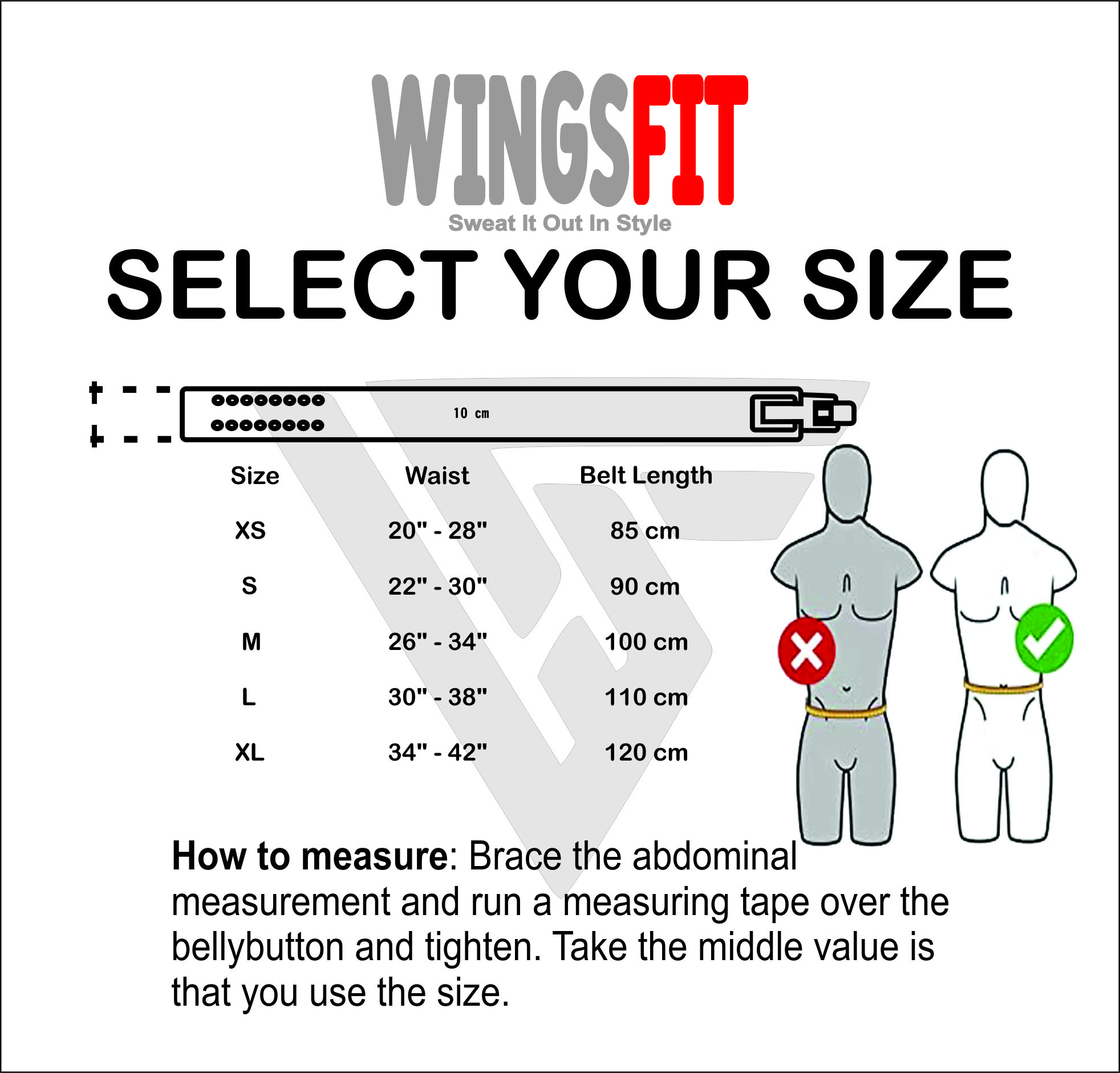 Wingsfit animi powerlifting Lever Belts - Image 4